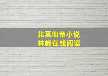 北冥仙帝小说 林峰在线阅读